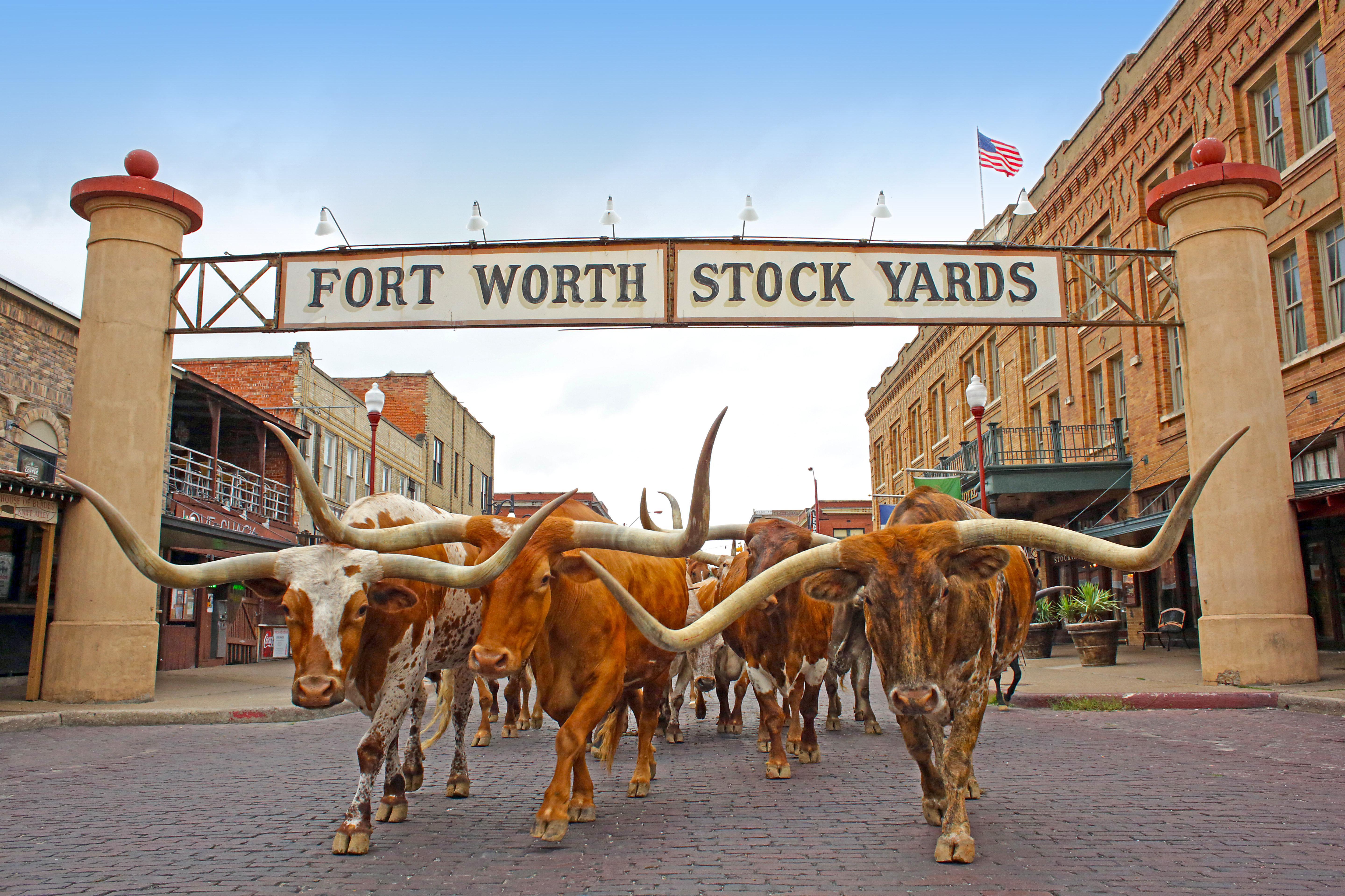 Holiday Inn Express Hotel And Suites Fort Worth/I-20 Dış mekan fotoğraf